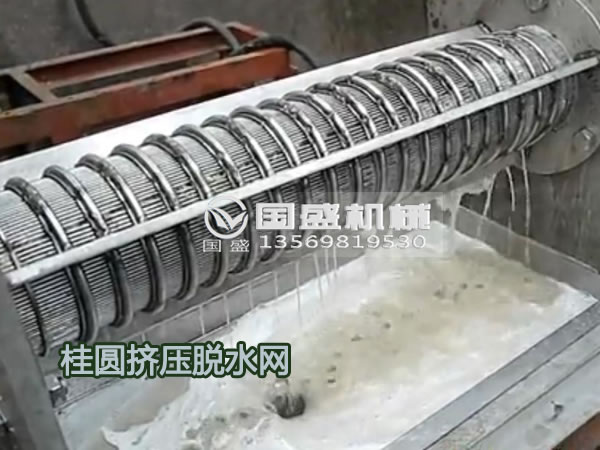 鮮桂圓螺旋壓榨機